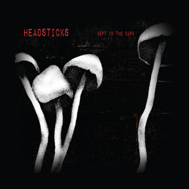 Kept In The Dark cover