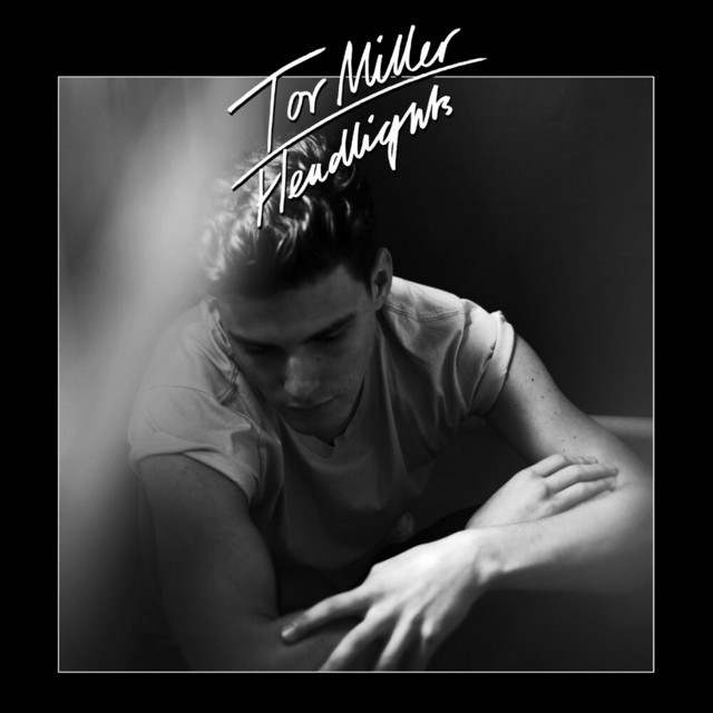 Headlights cover