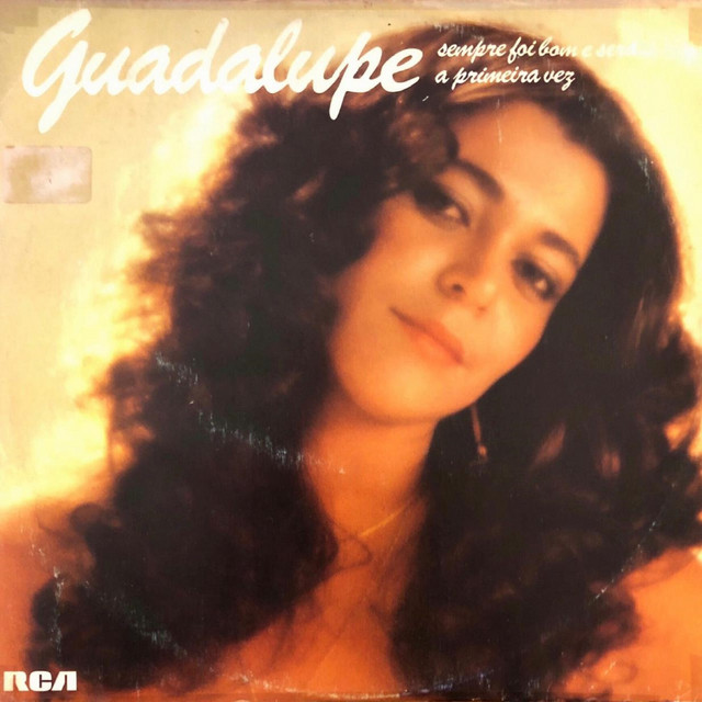 Sempre Foi Bom E Será... A Primeira Vez cover art