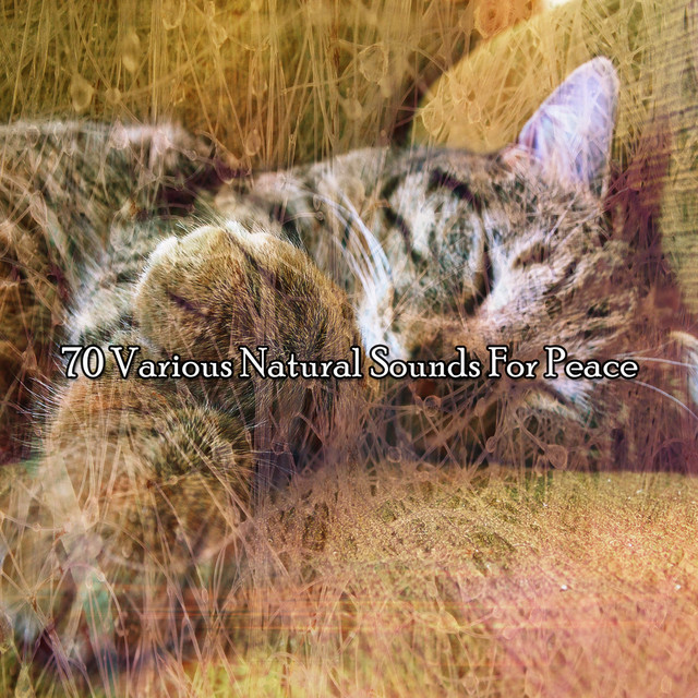 70 Various Natural Sounds For Peace cover art