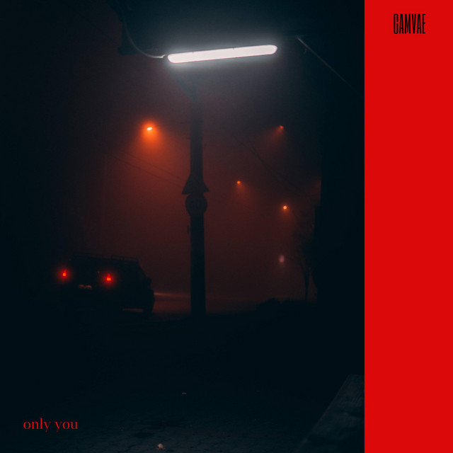Обкладинка: Only you — Gamvae