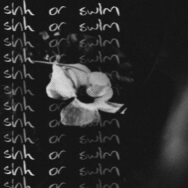 Sink or Swim cover art