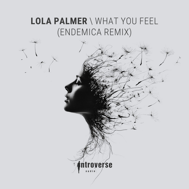 What You Feel - Endemica Remix