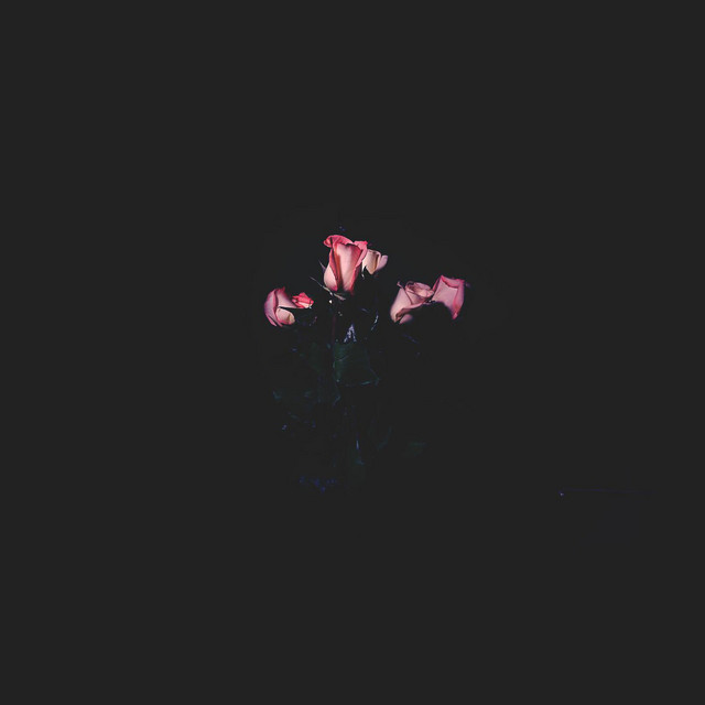 Dreams Are Pink cover