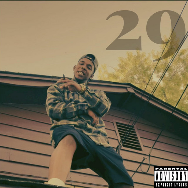 29 cover art