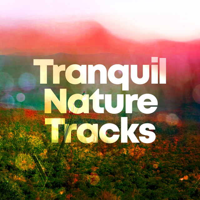 Tranquil Nature Tracks ! ! ! ! - Album by Sleep Sounds of Nature | Spotify
