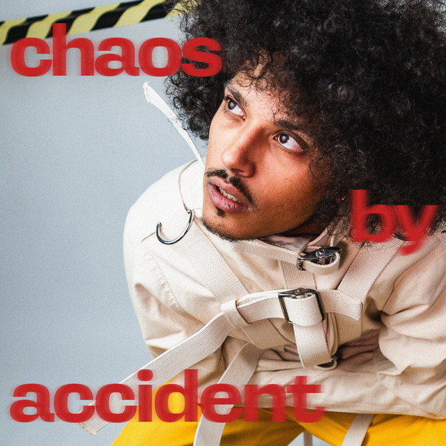 Chaos by Accident cover