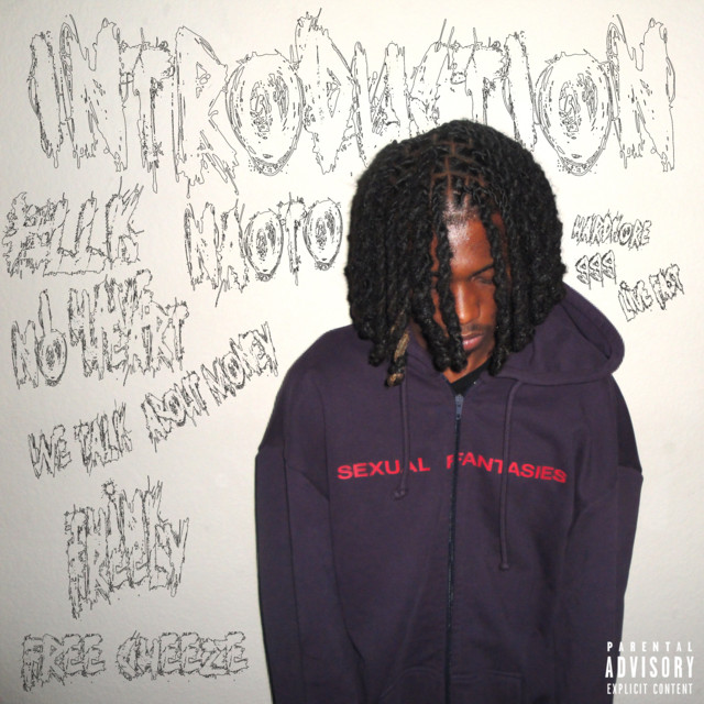 INTRODUCTION cover art