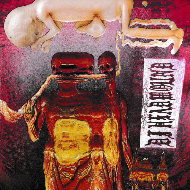 LAW OF ATTRACTION cover art