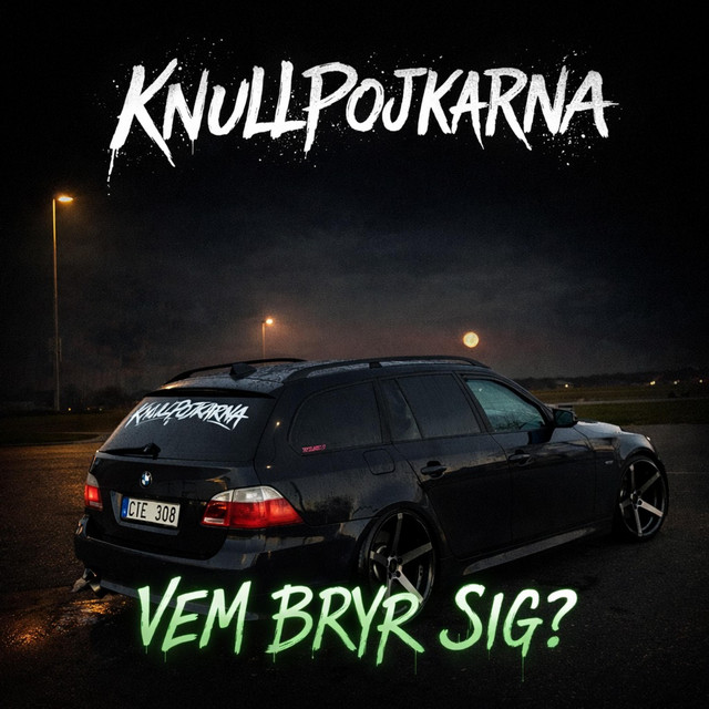 VEM BRYR SIG?