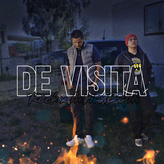 De visita cover art