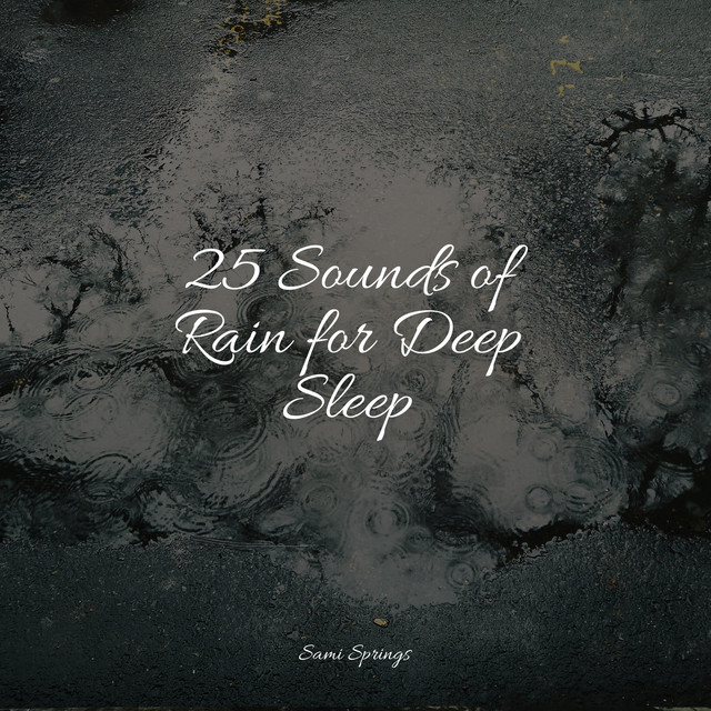 25 Sounds of Rain for Deep Sleep - Album by Nature & Sounds Backgrounds ...