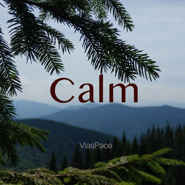 Обкладинка: Calm — VlasPace