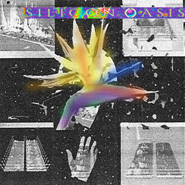 Silicon Oasis cover art