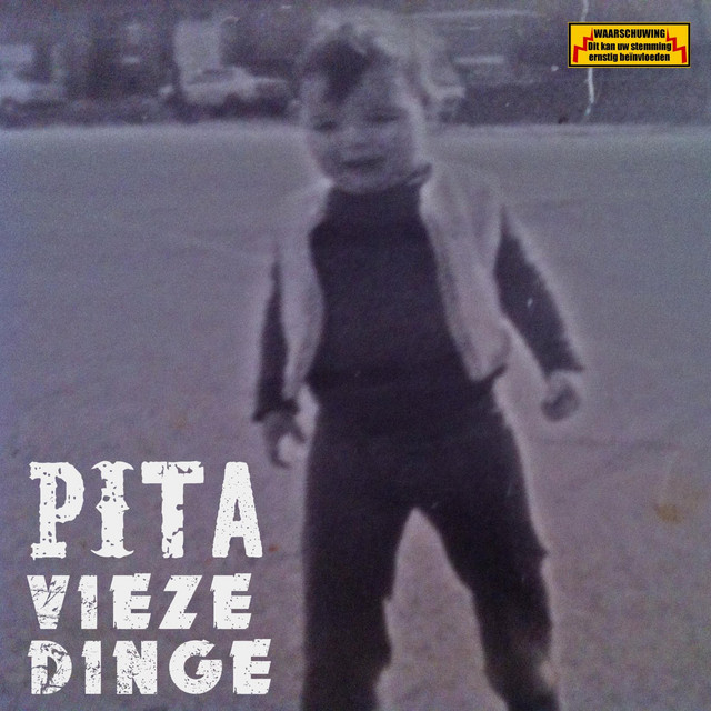 Vieze Dinge cover art