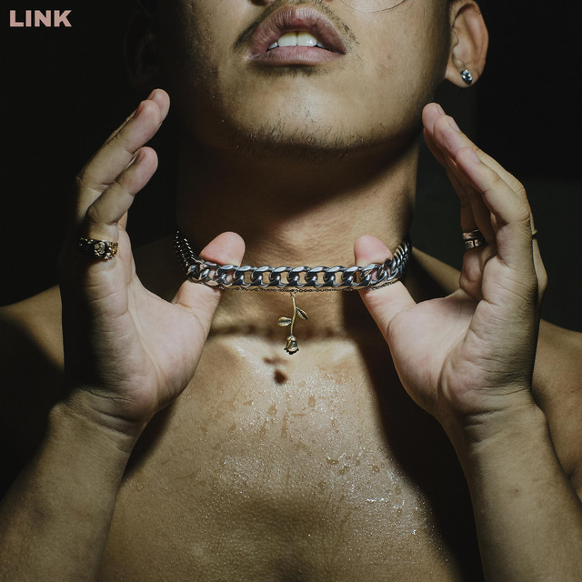 LINK cover art