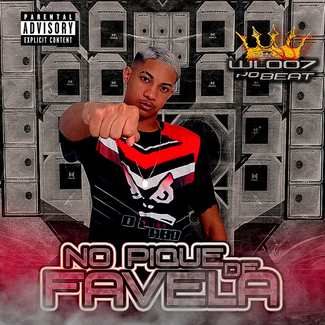 Putaria Criminosa (feat. mc pl alves & Mc India)