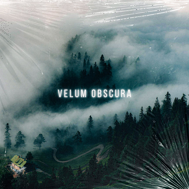 Velum Obscura