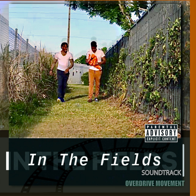 In The Fields cover art