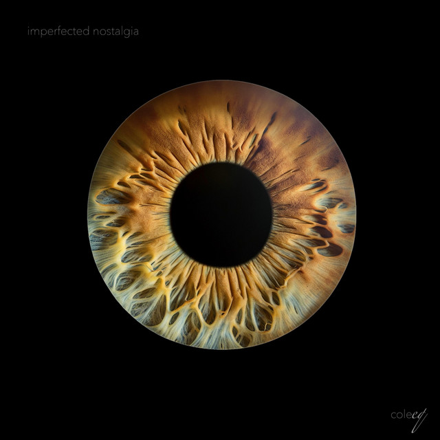 imperfected nostalgia cover art