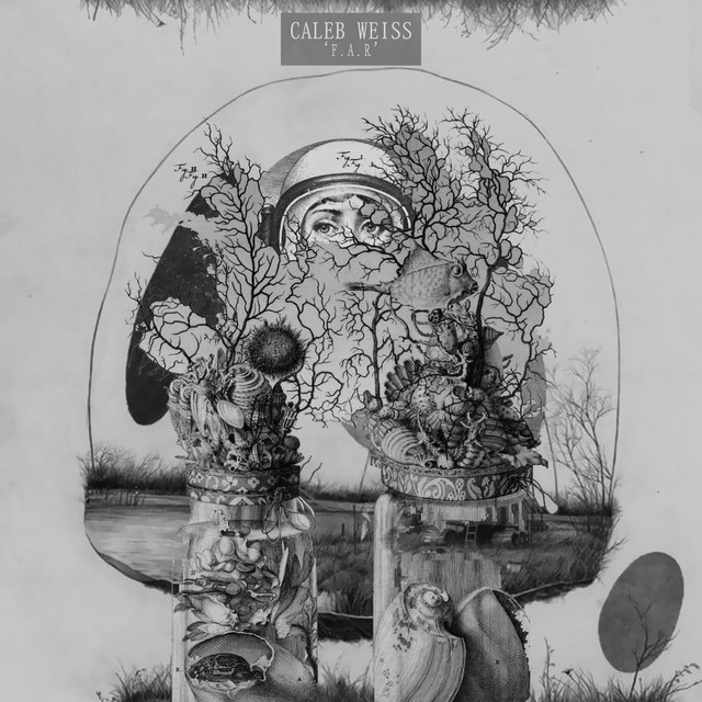 F.A.R cover art