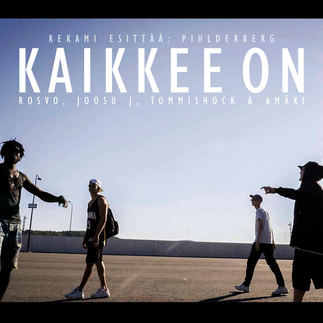 Kaikkee on