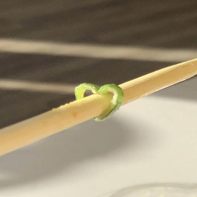 Spring Onions cover art