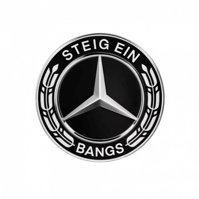 Steig ein cover art