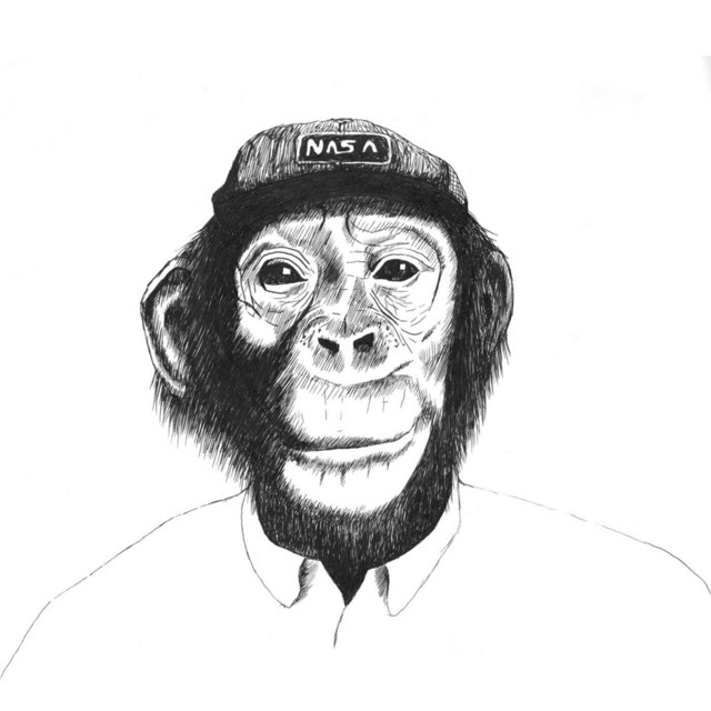 Bloqs cover art