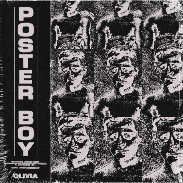 Poster Boy cover art