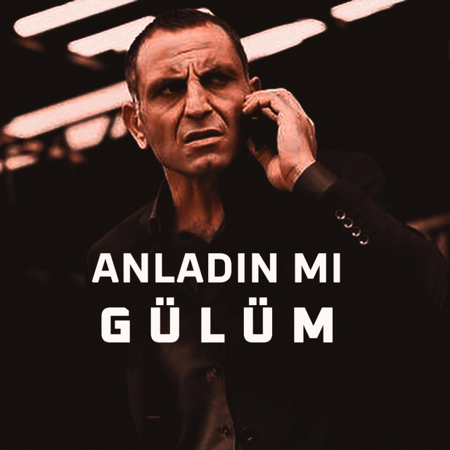 Anladın Mı Gülüm