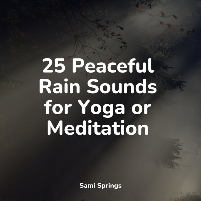 25 Peaceful Rain Sounds for Yoga or Meditation - Album by Restaurant ...