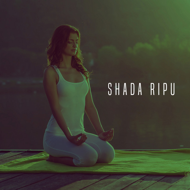 Shada Ripu cover art