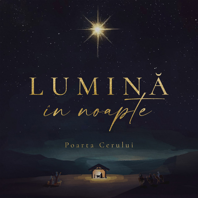 Lumină în Noapte cover art