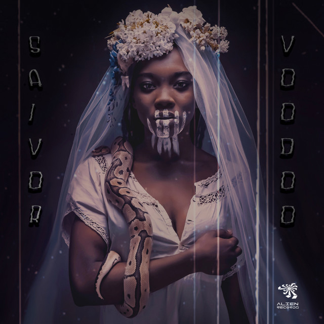 VooDoo cover art