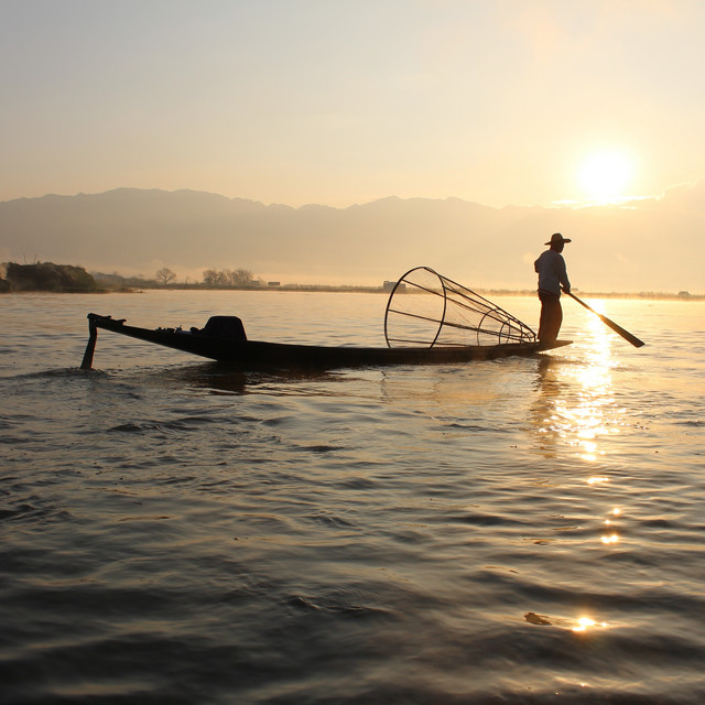 Powerful Compilation of Relaxing Strings for Complete Peace & Tranquillity