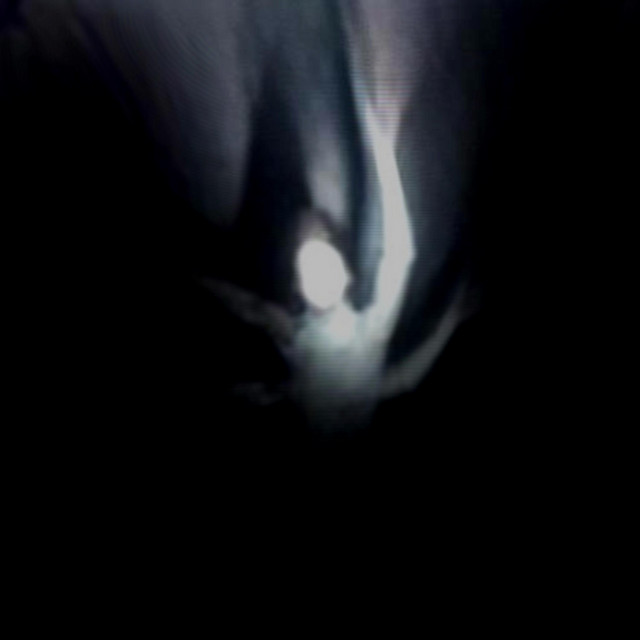 source experience analyzed love