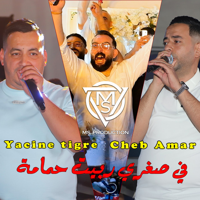 في صغري ربيت حمامة cover