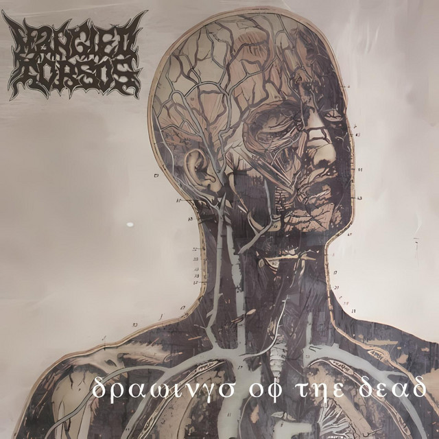 洋楽 Mangled torsos/drawing of the dead Drawings of the Dead - Album by Mangled Torsos | Spotify