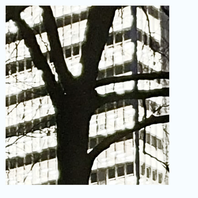 Blankets cover art