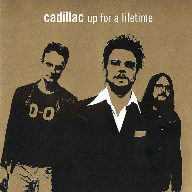 Up For A Lifetime cover art