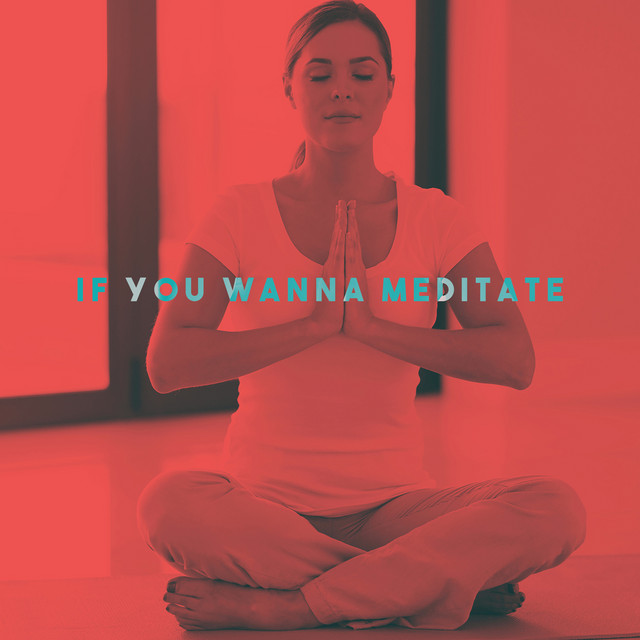 If you wanna meditate cover art