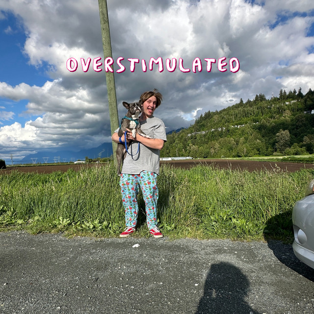 Overstimulated cover art