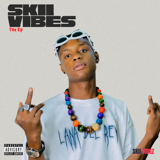 Skii Vibez cover art