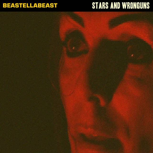 Stars And Wronguns cover art