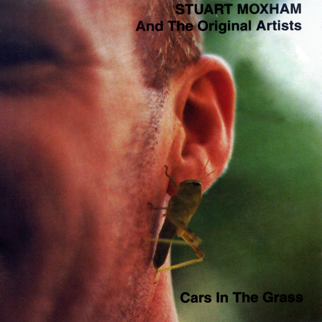 Cars In the Grass cover art