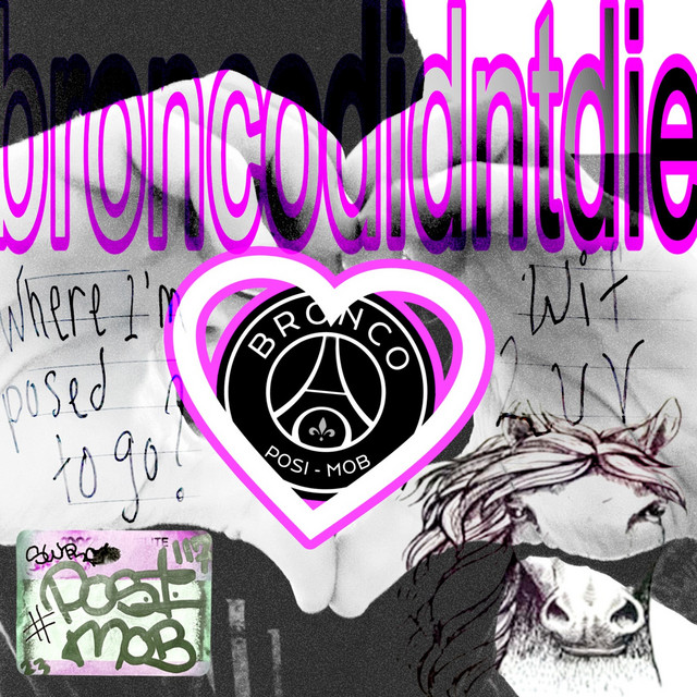 CALL ME BRONCO cover art