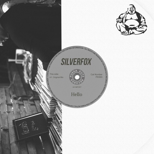 Hello - Single by Silverfox | Spotify