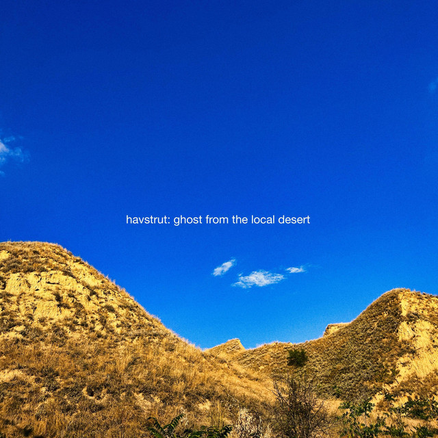 Cover art: ghost from the local desert — havstrut