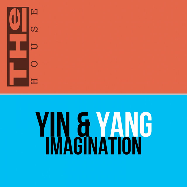 Imagination (Dance Mix) cover